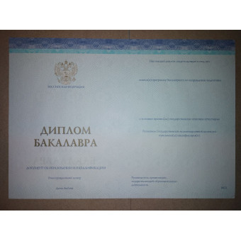 Диплом бакалавра 2023-2026 СпецБланк, образец