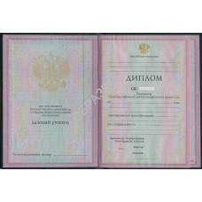 Диплом колледжа 1997-2001 года