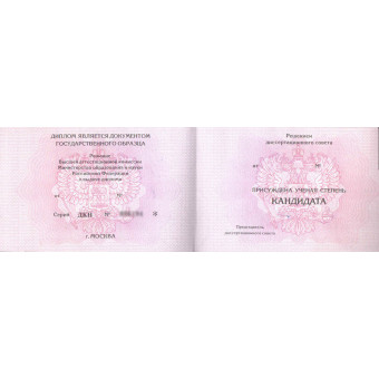 Диплом кандидата наук 2006-2012, образец