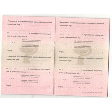 Медицинский сертификат 2002-2012 Медицинский сертификат 2002-2012